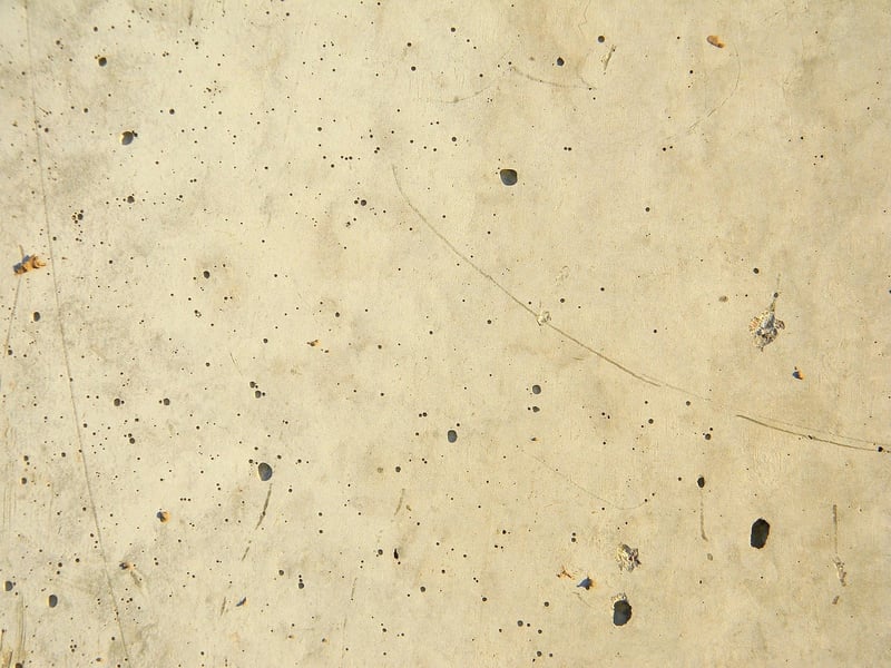 Low-Maintenance Landscaping